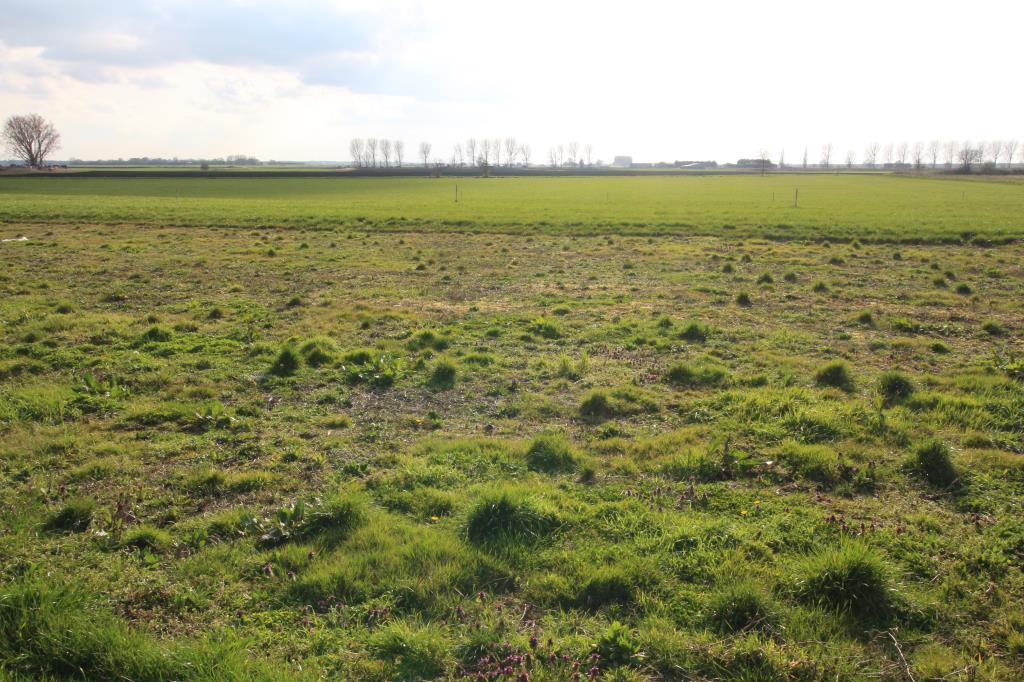 Residential property for sale in Pymoor Cheffins Ely Sales